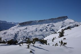 panoramic view of a backcountry for skiing