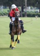 Polo player in Game