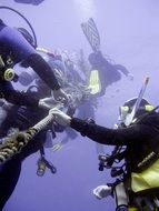 Divers in the underwater world