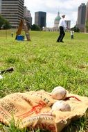 Vintage Baseball Sport