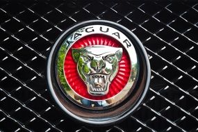 photo of luxury jaguar auto icon