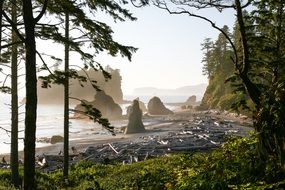 panoramic view of the picturesque sea coast with rocks