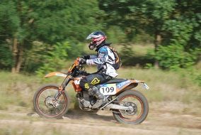 Motor Race in a forest