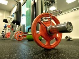 barbell in the gym