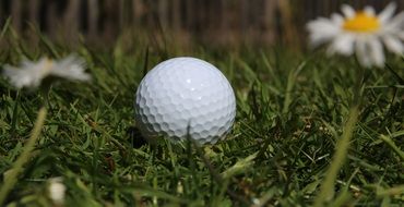 Golf Ball and Daisies flower