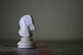 White chess horse piece