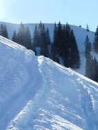 ski tracks in the snow on a sunny day