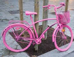 Pink Bike Lifestyle