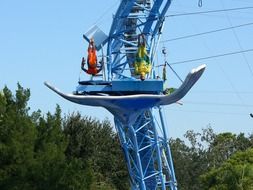 High Diving Somersault