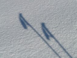 shadow from ski poles in the snow