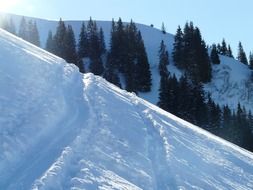 deep ski tracks in the snow