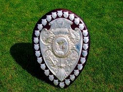 Ranfurly Shield on green grass