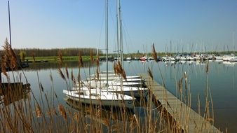 Cospudener See, Leipzig