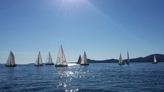 sailing boats on a sunny day