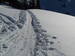 footprints on a snowy road