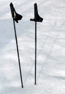 Ski Poles