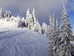snow Sunpeaks Kamloops