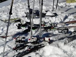 skis and ski poles