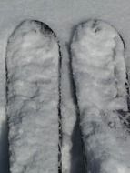Ski in deep snow close up