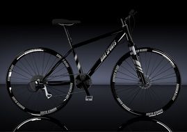 Bike for the sport