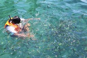 Scuba diving in Thailand