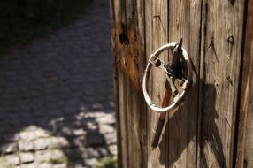 Ski Pole Rustic