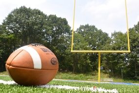rugby ball on a background of yellow gate