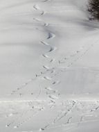 uneven tracks in deep snow