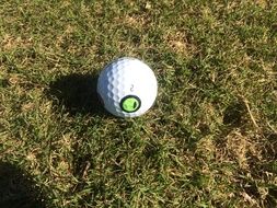 white golf ball on green grass