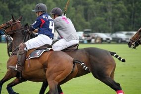 Polo Players