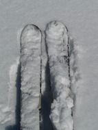 tourist skis in the snow close up