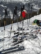 Ski Poles Sticks