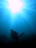 bright sunlight above a diver in the water