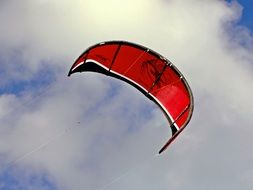 red Kite Wing