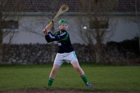 hurling player in Ireland