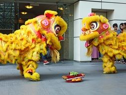 Chinese Lion Dance