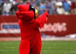 Team Mascot