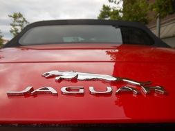 Jaguar red car logo text