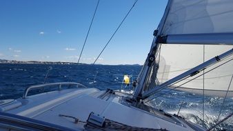 regatta as a sport