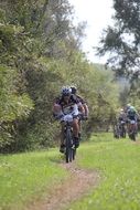 mountainbiking in summer