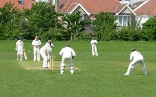 Athletes play cricket in a green field