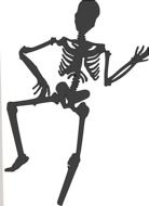 Skeleton Cartoon drawing