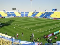 Stadium Grass Field
