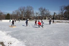 Pond Hockey