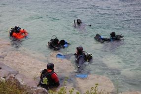 Divers in the water by the sea