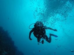 Scuba Bubbles