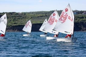 Sailing competition on the water with green shore background