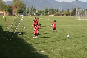 little soccer players on the football field