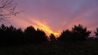 Purple Skies Sunrise