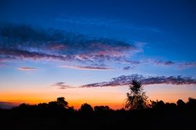 romantic sunrise over the trees